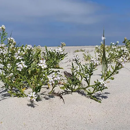 Vakantiehuis Family-friendly Haven With Pool - By Traum Henne Strand
