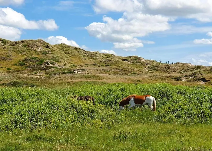 Family-friendly Haven With Pool - By Traum 別荘 *